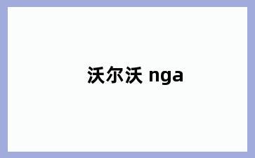 沃尔沃 nga